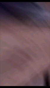 Premium Wild Alaskan Salmon Oil for Cat & Dog