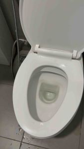 สินค้าขายดี มีรับประกัน ⭐️ 2 ซองผงชีวภาพแก้ส้วมเต็ม แก้กลิ่นเหม็นในท่อน้ำ อ่างล้างหน้า อ่างล้างจาน ท่อน้ำทิ้ง ของแท้ ส่งด่วนมีรับประกัน