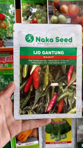 Benih Cabe Rawit IJO GANTUNG isi 10gram