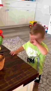 Copycat Dancing Cactus Talking Singing Recording Sounds Baby Doll Stuff Toys Fun Playing Birthday Gift