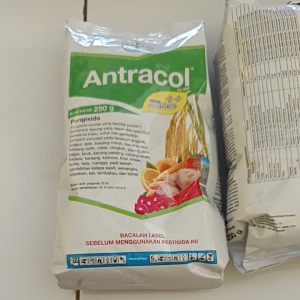 Antracol 70WP 250gr – Fungisida Sistemik & Kontak untuk Sayur & Buah