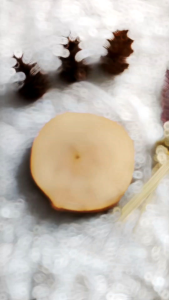 SR | SANDAL GUNUNG ANAK LAKI - LAKI 1 TAHUN S/D 10 TAHUN MODEL JEPIT