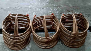 tử lồng màochoèkhướu mi