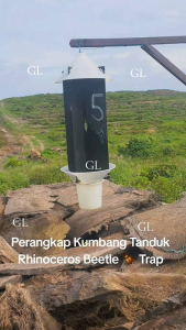 Set Perangkap Kumbang Tanduk( Rhinocheros Beetle Trap)