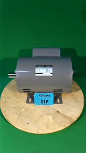 DINAMO ATAU ELECTRO MOTOR 1HP 4P 1PH MERK HITACHI