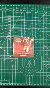 Freewheel Sepeda / Gir Sepeda Belakang / Freewheel 16T Atlantis – Gear Belakang Single Speed untuk Roda 12-26” (Threaded Hub)