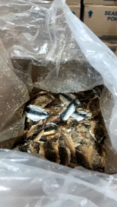 IKAN ASIN DENDENG MANIS GURIH 250gr GESEK TEMBANG DENGDENG 250gr FRESH MURAH...