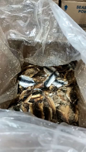 IKAN ASIN DENDENG MANIS /GESEK TEMBANG DENGDENG GURIH  MURAH...