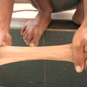 Lem pulut pemikat burung pulut super lengket getah legeut untuk mikat burung legeut jebakan burung pulut jebakan burung