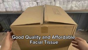 Facial Tissue Virgin Pulp- 60 Pulls 2 PLY THICK QUALITY
