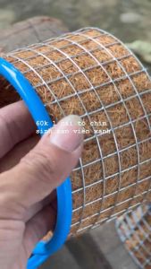 Tổ chim chào mào viền xanh (tặng kèm bông đót và sơ dừa)