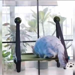 Window Mount Suction Cup Cat Hammock Bed Strong Suction Wall Hanging Cat Shelf Comfortable Soft Cat Rest Perch Balcony Glass Sunbathing Cat Nest for Small Medium Cats Indoor Relaxation Sturdy Durable Space Saving Warm Cozy Pet Sleeping Platform