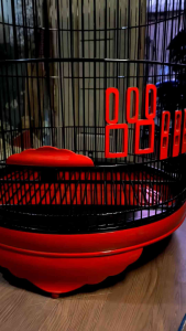 Sangkar MB Tebok ceper kayu Rapat Atas