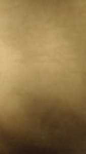 KAOS ATASAN DEWASA LENGAN PENDEK KATA KATA PRAGOS NI CAK DEPAN BELAKANG KAOS DISTRO VIRAL