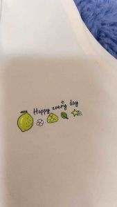 ชุดชั้นในนักเรียนสำหรับคนอ้วน มีตาข่ายระบายอากาศด้านหลัง คุณภาพดี ยืดหยุ่นได้ดี รับน้ำหนักได้ถึง 70กก มี 4 สีสวย FREE รวม ช่องที่ 'XXL'