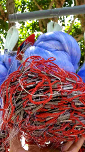 ✅️[GIÁ TỐT] 3 MÀNG CHÌM DÀI 75m CƯỚC 014-020 CÁ GẦN 1kg TRỞ VỀ THẢ SUỐI HỒ SÔNG CHẢY SÁT ĐÁY LƯỚI HÀNG CÁ NHỌN XANH.