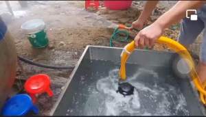 BỘ ĐẢO KHUẤY ĐỀU CÓ LỌC THUỐC TRỪ SÂU YH. THIẾT BỊ TRỘN THUỐC QUẠT KHUẤY ĐẢO THUỐC CÓ LỌC