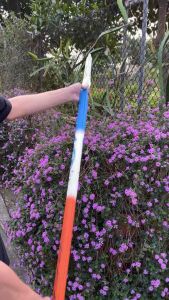 Cần câu THANH LONG HOẢ NHÃN 10H bản nội địa săn hàng giá rẻ cập bến tặng kèm ngọn phụ