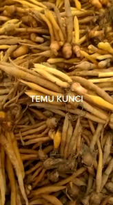 PAKET HEMAT Temu Kunci Segar Organik 1 Kg Kirim Langsung Saat Order Masuk