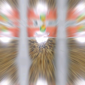 NUTIRMIX LOVEBIRD Milet Pakan Burung Lovebird