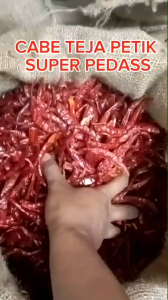 CABAI RAWIT TEJA (SUPER PEDAS) KERING TANPA TANGKAI BERAT 1kg  (BERKUALITAS)