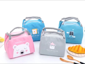 Cute Kawaii Lunch Box Insulated & Waterproof - Kids Picnic Food Bag Cooler for Outdoors