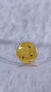 รอบที่-4 ก-24 อำพันพม่าแบบมีแมลง อำพันแท้ 100%