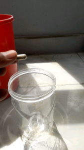 starter telur kutu air moina macrocopa