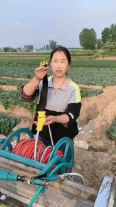 Đai Kẹp kéo dây xịt thuốc (Hàng đẹp) (Dây đai kéo dây xịt thuốc 8.5mm