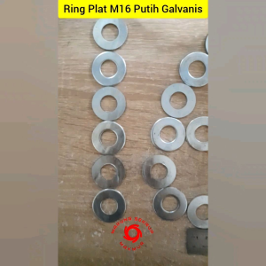 (50 pcs) M16 Ring Plat Galvanis Putih WP Washer Plate 16mm
