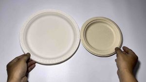 Drakes Packaging Cornstarch Plate 10 Pieces Per Sold 9 Inches & 7 Inches Eco-Friendly Disposable plate