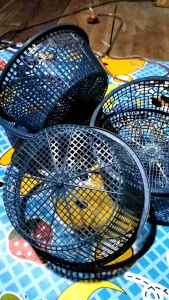 MURAHHH!!! 100 PCS WAKUL/CETTING PLASTIK BULAN