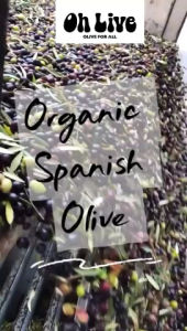 OH LIVE ORGANIC EXTRA VIRGIN OLIVE OIL