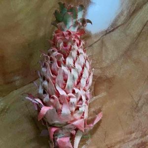 Nanas merah nanas muda asli 500 gram petik langsung-az