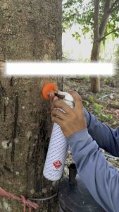 ขวดเก็บฮอร์โมนใช้ติดตั้งกับต้นยาง เพื่อเร่งน้ำยาพาราชุด 100 ตัว ✅แถม ตัวตอก1ตัว