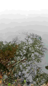 กบใบพัด กบใบเคาะ (ขนาด4 เซน)👉เสียงดัง ตีไกล แอคชั่นเยี่ยม เหยื่อตกปลา โปรลดราคา!!