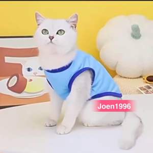 Summer Pet Clothes Fruity Fruity cartoon cute pet vest breathable Clothes 宠物衣服透气夏天款