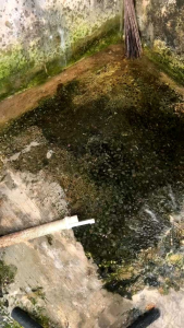 Serbuk Ajaib Pembersih Kamar Mandi & Penghilang Kerak WC