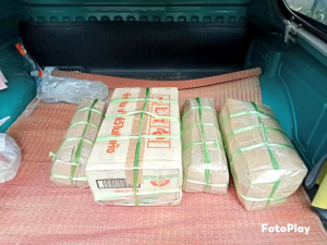 พันธุ์กล้วยเทพพนม (ตัดที่ความยาวประมาณ40 cm.ตอนส่ง)