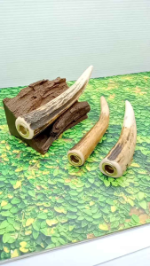 Pipa once klokotan tanduk RS asli dan berkualitas B36