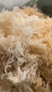 Rong Sụn Muối ( Rong Sụn Gai ) Trộn gỏi Nấu Chè Hạt Dinh Dưỡng NaNa 500G