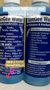 Sangee water minuman kekuatan dan kesihatan burung made in thailand