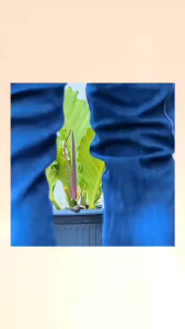 COD - BAYAR DI TEMPAT - Celana Jeans Cargo Celana Cargo Celana Panjang Dewasa Pria Celana Terbaru Celana Jeans Model Cargo Celana Skinny Street Celana Termurah Celana Cargo Panjang