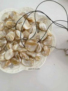 (KHÔNG GỈ) Vòng cổ nữ Choker Shell Necklace Petite dây chuyền nữ mặt vỏ ốc xà cừ basic phong cách hàn quốc