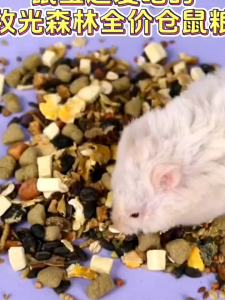 Eco Forest Hamster Diet 900g– Premium Nutrition for a Happy Healthy Hamster