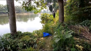 [ BELI 2 GRATIS 1 ] Esen nila mujaer untuk liaran