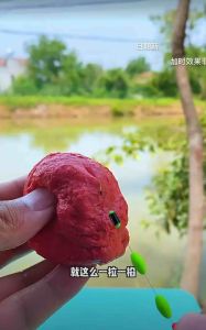 Umpan memancing ikan Khas untuk memancing Naikikan cepat arus deras pun tak menghanyutkan Fishing Outdoor