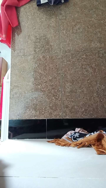 Buyer review video 3