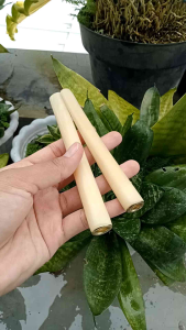 Pipa Cangklong Tulang Sapi & Variasi Ring Cincin A29