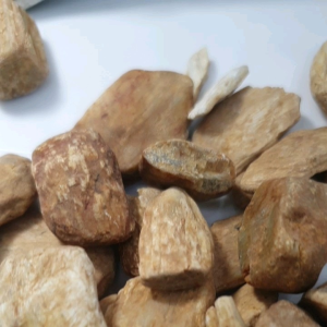 6573-MỘT CỤC GỖ HÓA THẠCH THÔNG ĐÈN ( Thiên nhiên) sưu tầm